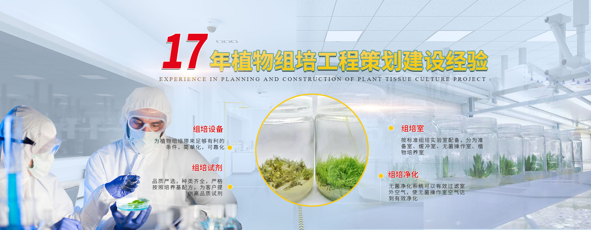 蘑菇视频成人在线观看基规划设计