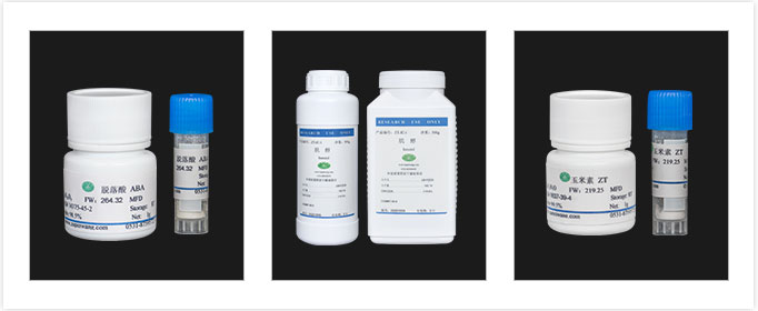 蘑菇视频成人在线观看试剂