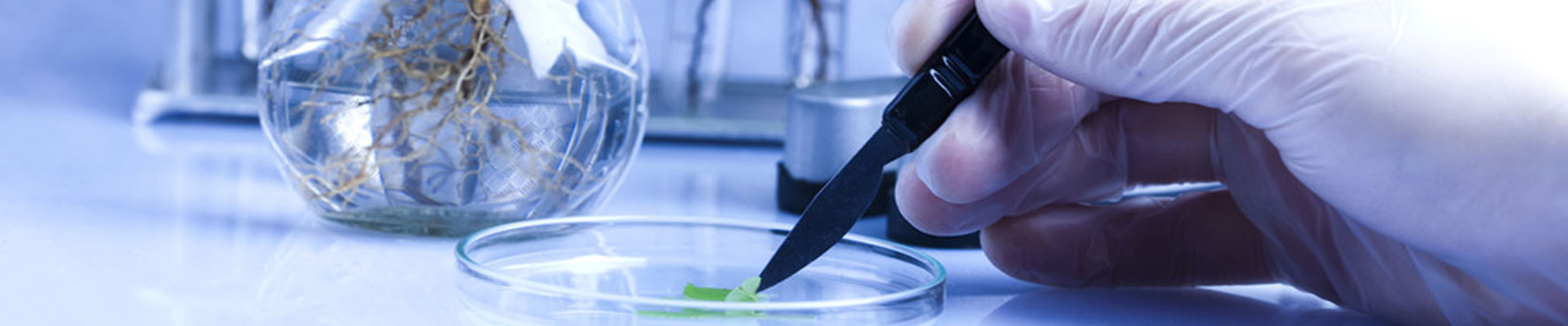 蘑菇视频成人在线观看设备