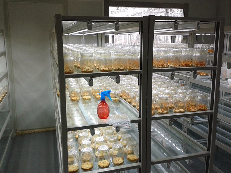 ç»å¹è®¾å¤