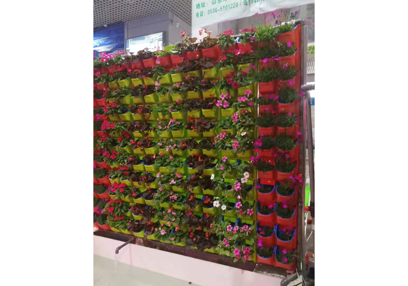 江苏沃田集团研发中心