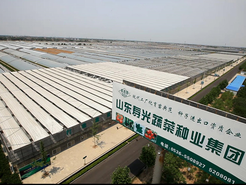 ç»å¹è®¾å¤