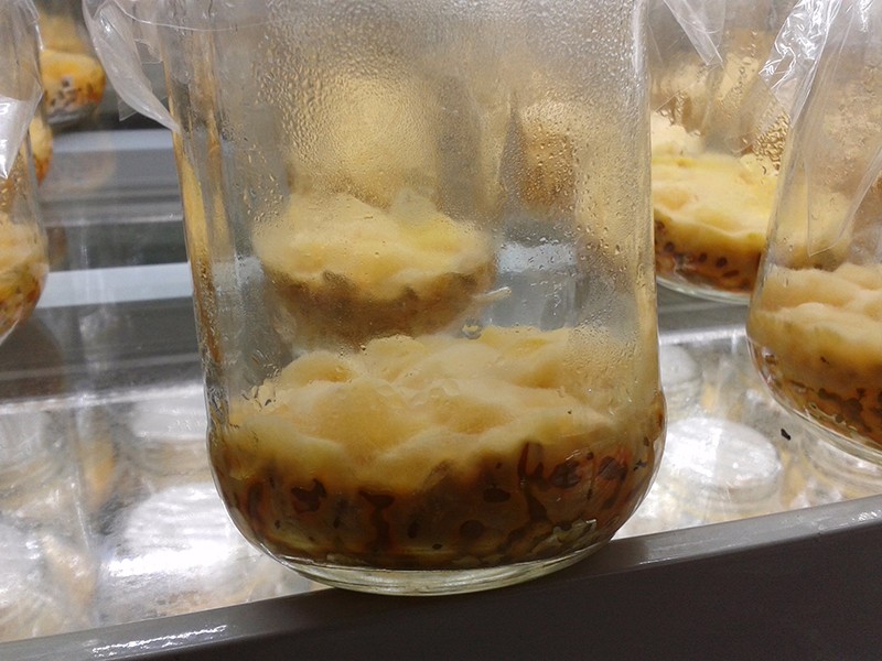 ç»å¹è®¾å¤