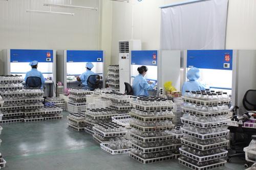 蘑菇视频成人在线观看室培养