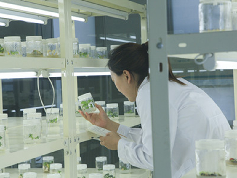 ç»å¹è®¾å¤