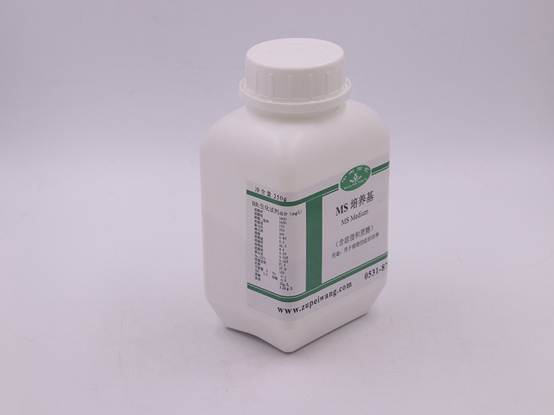 蘑菇视频成人在线观看设备