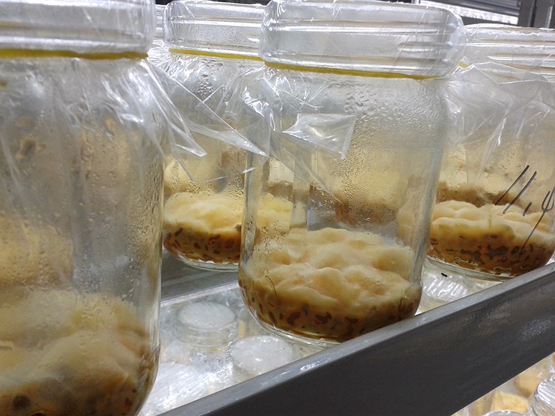 ç»å¹è®¾å¤