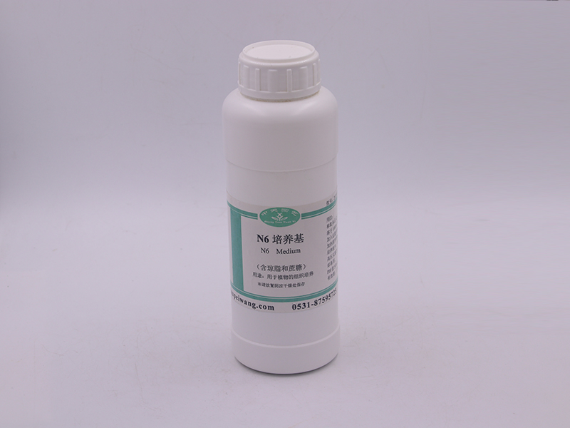 蘑菇视频成人在线观看设备