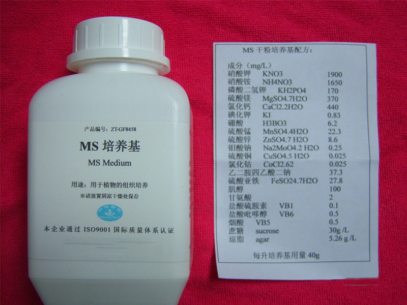 蘑菇视频成人在线观看设备