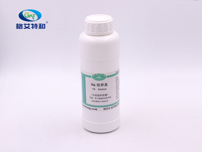 N6培养基(不含琼脂含蔗糖）