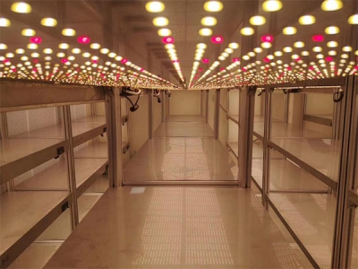 蘑菇视频成人在线观看架