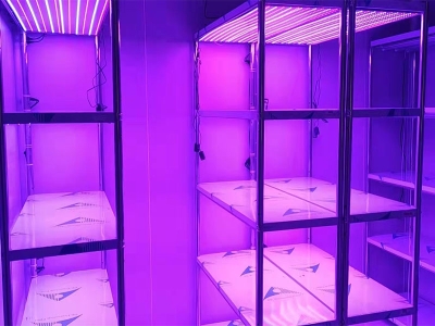 光照强度可调蘑菇视频成人在线观看架