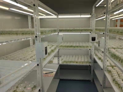 蘑菇视频成人在线观看仪器