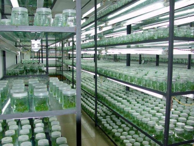 蘑菇视频成人在线观看实验室