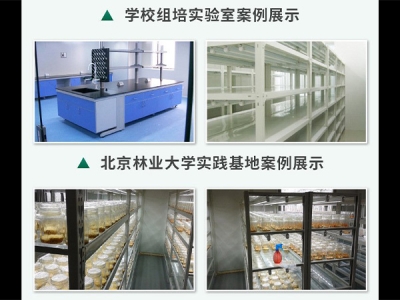 蘑菇视频成人在线观看室设计建设