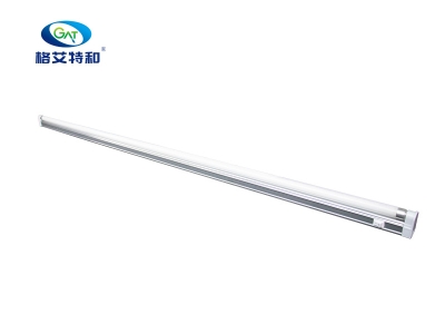 蘑菇视频成人在线观看灯