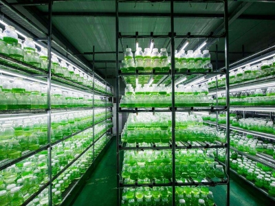 蘑菇视频成人在线观看实验室