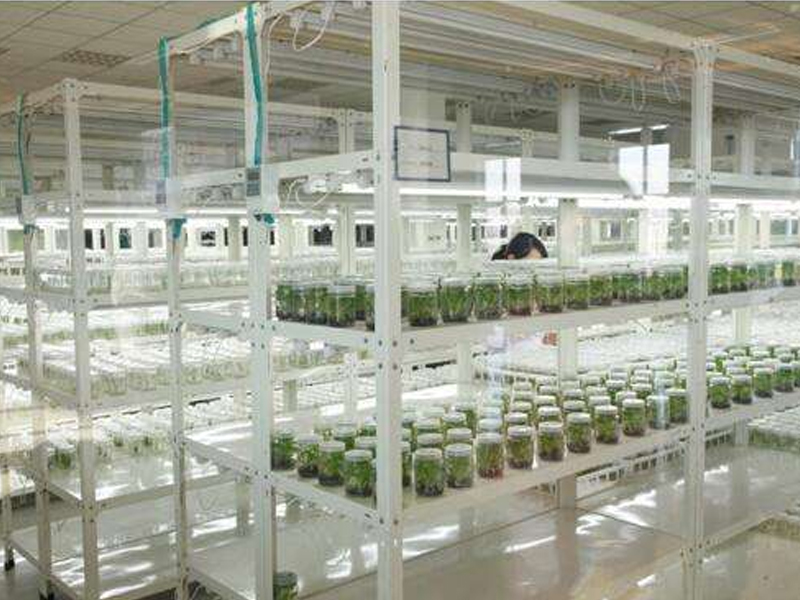 蘑菇视频成人在线观看室