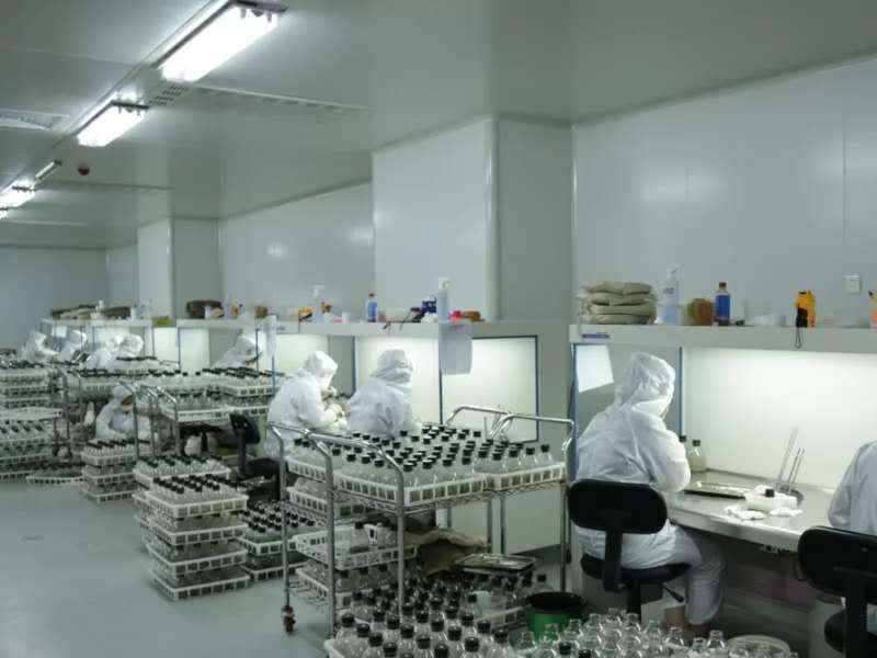 蘑菇视频成人在线观看室12