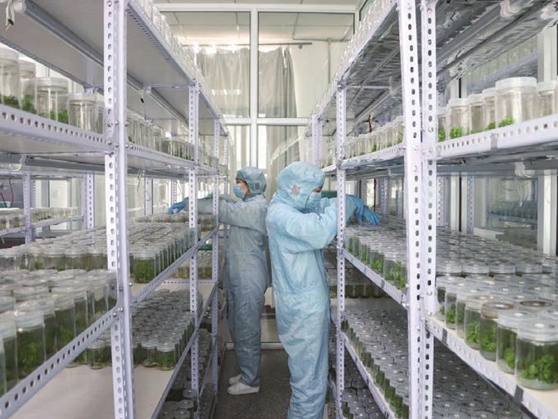 蘑菇视频成人在线观看室11