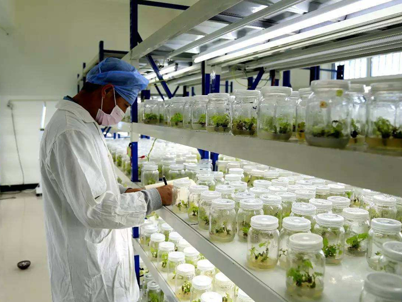 蘑菇视频成人在线观看室3