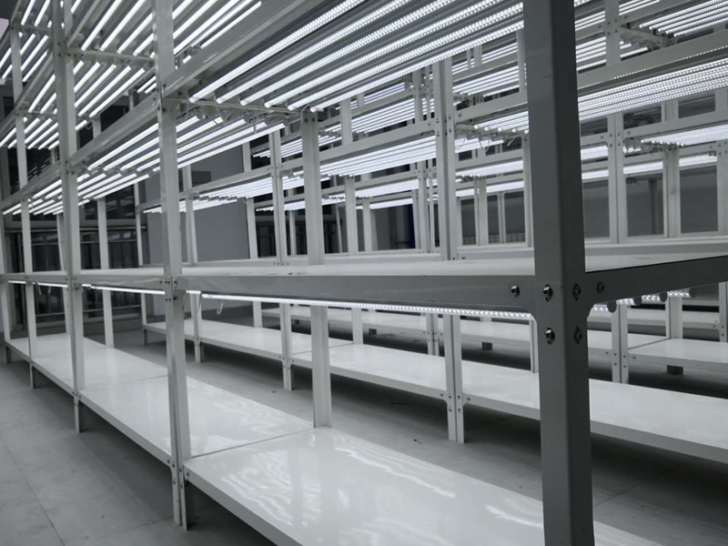 蘑菇视频成人在线观看架