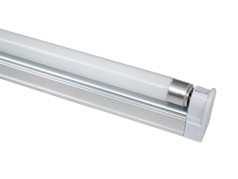 全光谱蘑菇视频成人在线观看1