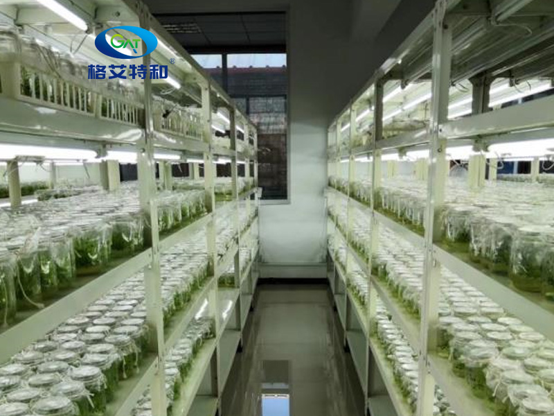 蘑菇视频成人在线观看设备