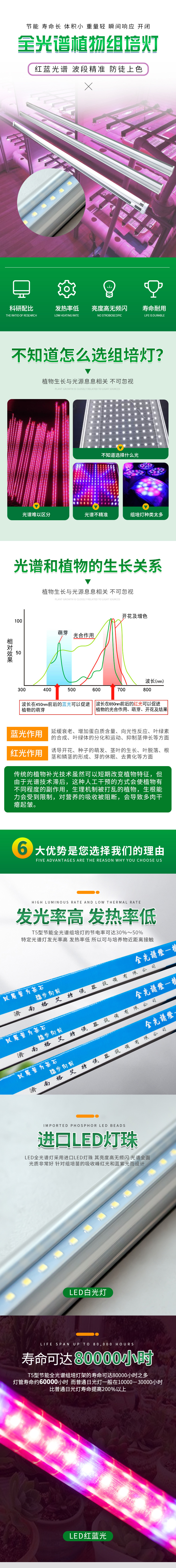 蘑菇视频成人在线观看灯1