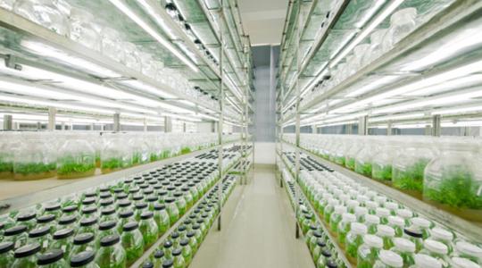 蘑菇视频成人在线观看快繁