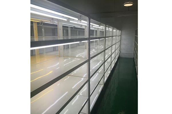 蘑菇视频成人在线观看设备