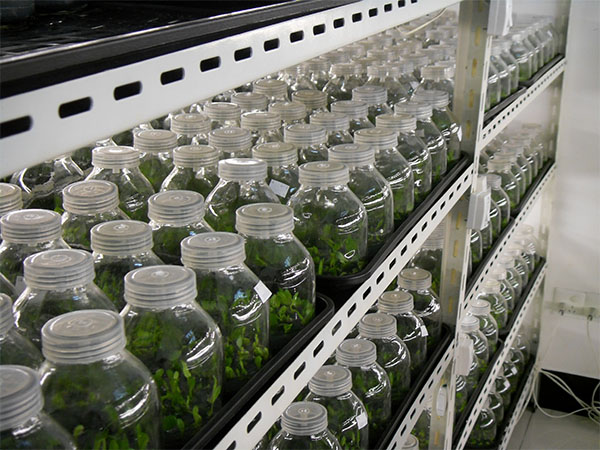 蘑菇视频成人在线观看仪器