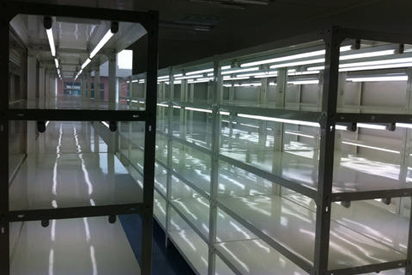 蘑菇视频成人在线观看设备