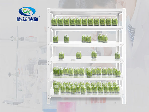 蘑菇视频成人在线观看设备