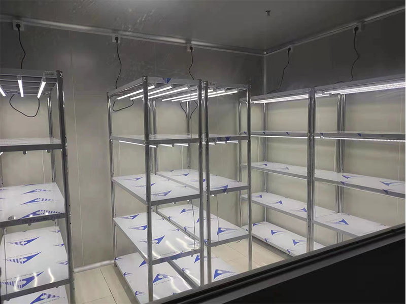 不锈钢蘑菇视频成人在线观看架工程