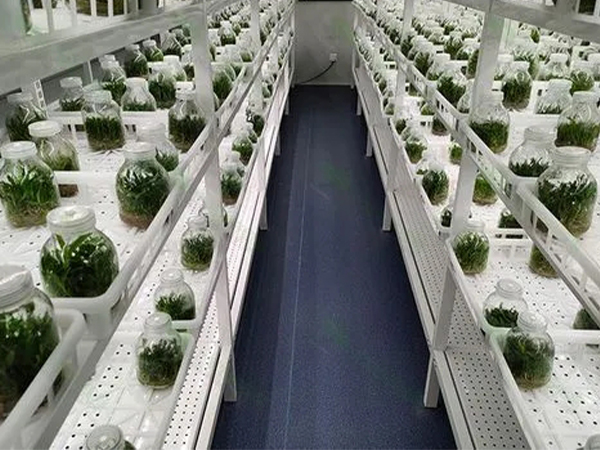 蘑菇视频成人在线观看室设计厂家