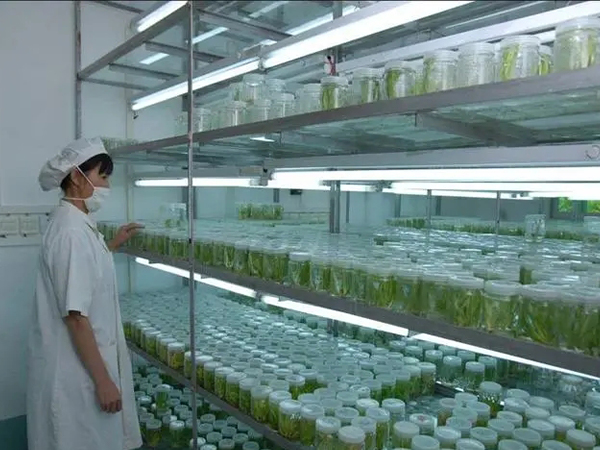 蘑菇视频成人在线观看室设计厂家