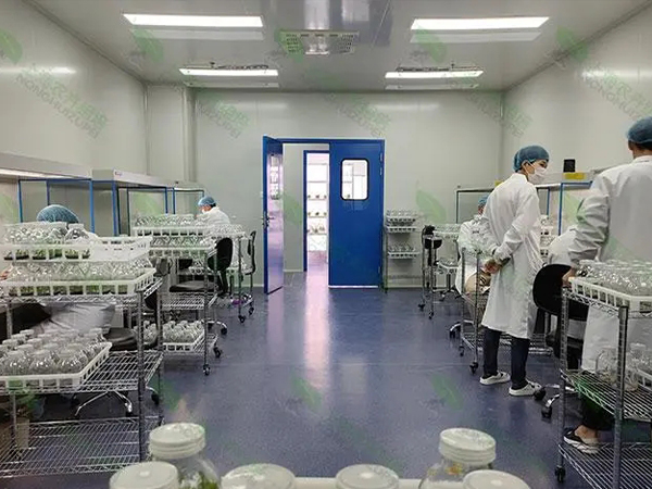 蘑菇视频成人在线观看设计建设公司