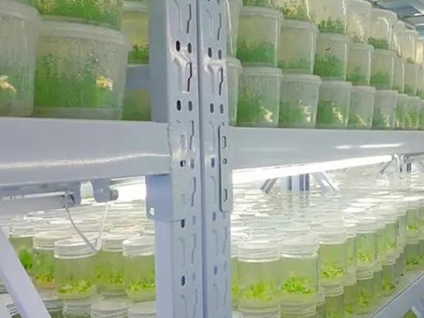 蘑菇视频成人在线观看室设计建设公司