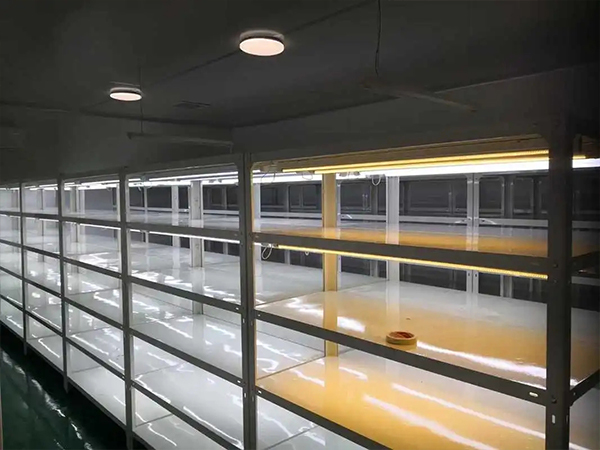 蘑菇视频成人在线观看室设计建设公司