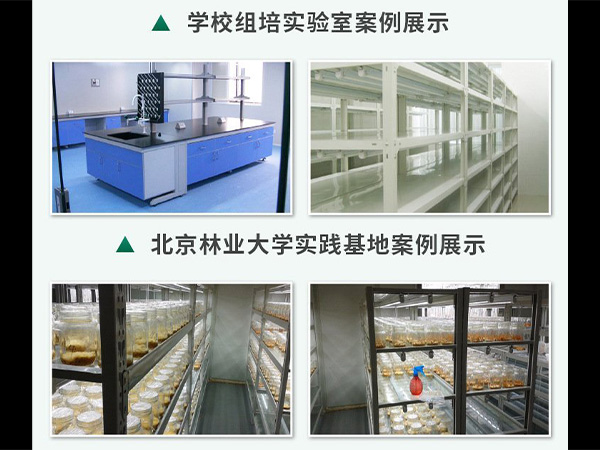 蘑菇视频成人在线观看室建设