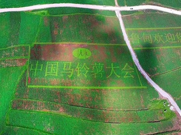 蘑菇视频成人在线观看室设计