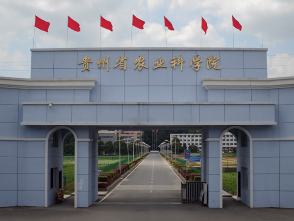 蘑菇视频成人在线观看建设