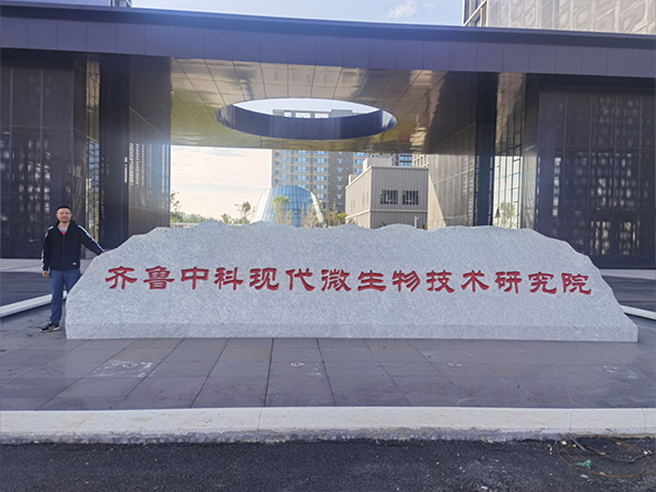 蘑菇视频成人在线观看设计