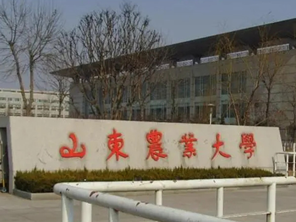 蘑菇视频成人在线观看