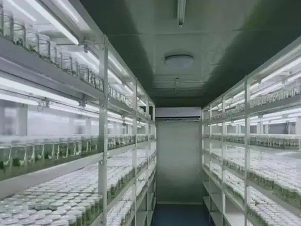 蘑菇视频成人在线观看室设计