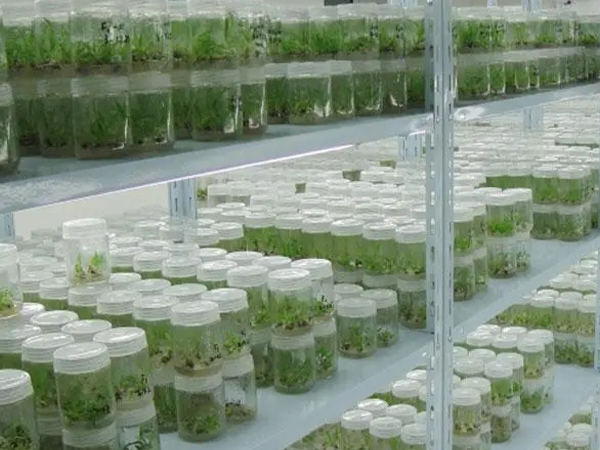 蘑菇视频成人在线观看室设计公司