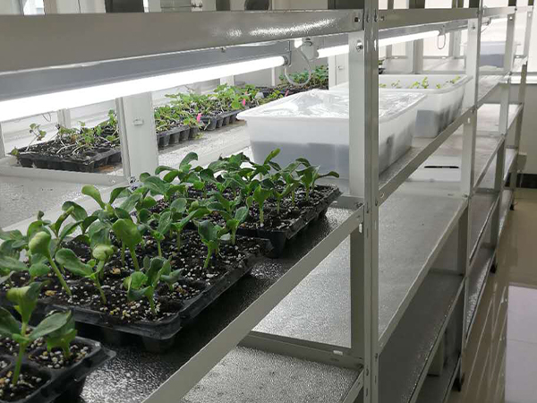 蘑菇视频成人在线观看室设计公司